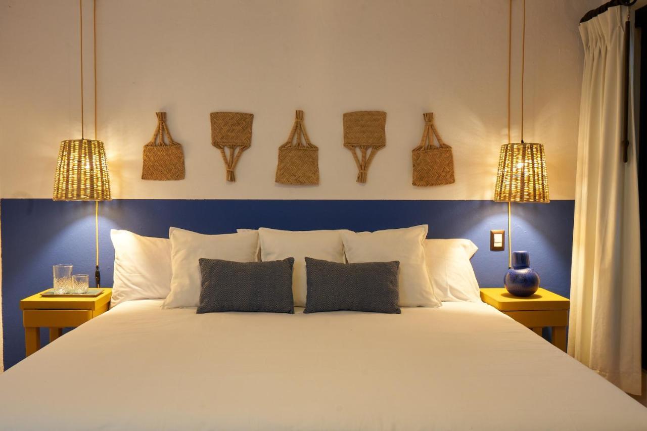 Amazinn Places Casa Coyoacan 墨西哥城 外观 照片