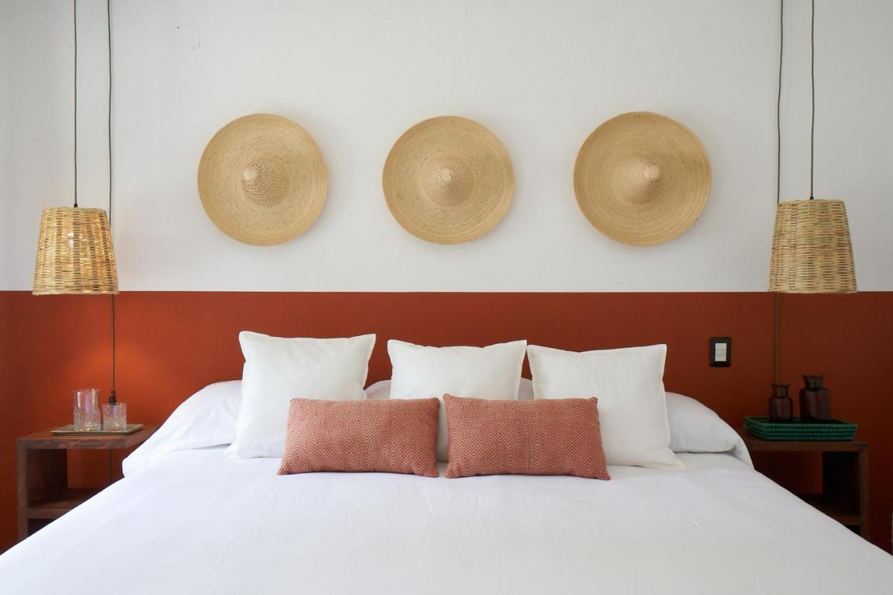 Amazinn Places Casa Coyoacan 墨西哥城 外观 照片